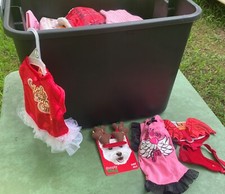 halloween dog costumes for sale halloween dog costumes for sale Shreveport