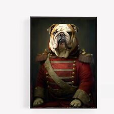 Royal english bulldog for sale  WOLVERHAMPTON