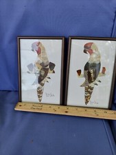 Pair butterfly wing for sale  Cape Coral