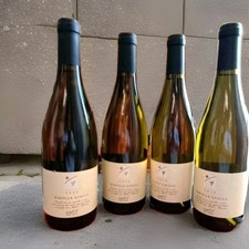 Degustazione bottiglie ribolla usato  Bellaria Igea Marina