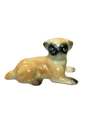 Miniature pug puppy for sale  Frederick