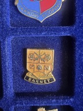Barnet retro pin for sale  DURHAM