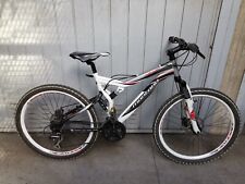 Bicicletta mountain bike usato  Seregno