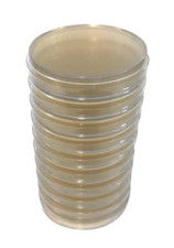 Pre poured agar for sale  NOTTINGHAM