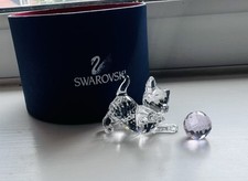 swarovski kitten for sale swarovski kitten for sale GRANTHAM