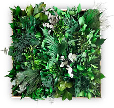 Quadro vegetale con usato  Roma