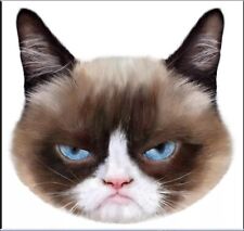 Rosewood grumpy cat for sale  GREAT YARMOUTH