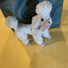small poodle for sale  Gurnee