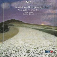 Wind quintet wind d'occasion  France