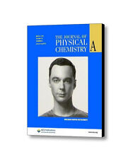 The Big Bang Theory Sheldon Cooper Journal of Physical Chemistry adereço emoldurado, usado comprar usado  Enviando para Brazil