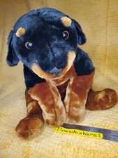 Animal alley rottweiler for sale  Scottsdale