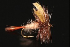 March brown mouche d'occasion March brown mouche d'occasion  Clermont-Ferrand-