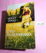 Libro romanzo cieli usato  Paterno