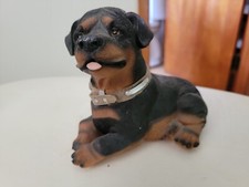 Dog puppy rottweiler for sale  Berlin Heights
