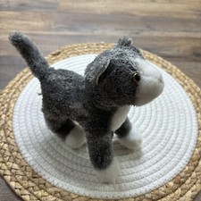 Douglas gray kitty for sale  Warwick