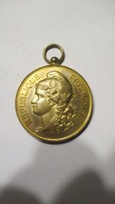 Médaille vercingetorix grand d'occasion  Garéoult