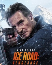 Ice road vengeance d'occasion  Expédié en Belgium