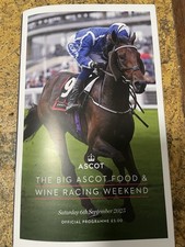 Ascot racecard saturday for sale  FELTHAM