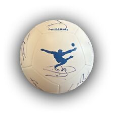 Acf fiorentina pallone usato  Torino