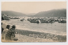 Rppc chinook salmon for sale  Los Angeles