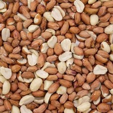 Peanuts wild birds for sale  PRESTON
