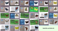 Rspb pin badges for sale  CAMBRIDGE