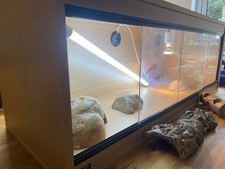 Vivarium 122x46cm for sale  CANTERBURY