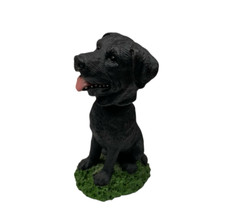 Black labrador retriever for sale  Idaho City