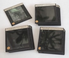 Photo plates magic d'occasion  Expédié en Belgium
