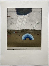 Pravoslav sovak rain gebraucht kaufen  Hamburg