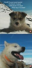 Pasta de selos 2003 Sledge Dog's Puppies Siberian Husky Groenlândia em perfeito estado, sem marca de charneira comprar usado  Enviando para Brazil