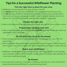 Wildflower seeds pollinators for sale  Monroe Township