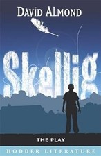 Hodder literature skellig d'occasion  Expédié en France