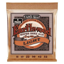 Ernie ball earthwood usato  Roccagloriosa