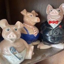 Nat west pigs for sale  DERBY