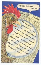 Lipscomb egg mash for sale  Mendham