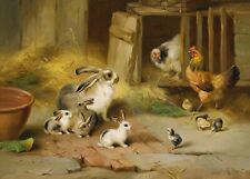 Bunny rabbits chickens for sale  Ahsahka