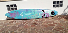 Windsurf bic sport usato  Roma