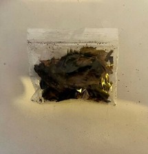 OKETE AUTENTICA, SANTERIA, IORUBÁ, IFA, ORIXÁ, RATA GIGANTE AFRICANA.  comprar usado  Enviando para Brazil