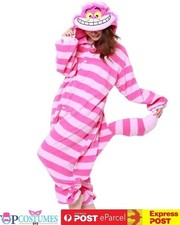 Adult cheshire cat for sale Adult cheshire cat for sale  BIRMINGHAM
