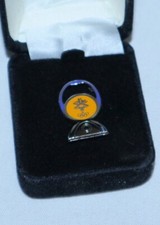 Usado, Pin Olímpico Salt Lake 2002 | *Lanterna Child of Light* Edição Limitada /500 Utah comprar usado  Enviando para Brazil