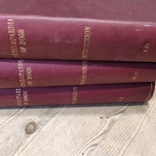 Hutchinson popular illustrated for sale  BANGOR