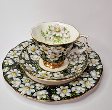Royal albert provincial gebraucht kaufen  Moers