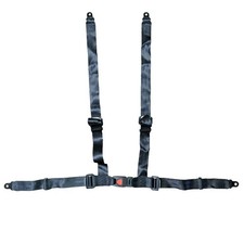 Point adjustable racing for sale  La Habra