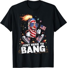 4th july fireworks for sale  Amityville