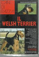 Welsh terrier usato  Italia
