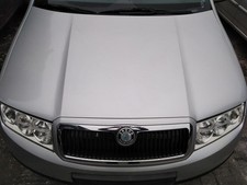 Skoda fabia riginal gebraucht kaufen  Delitzsch