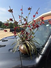 Silk orchid pot for sale  New Albany