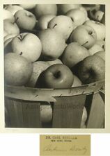 Still life apples for sale  Scranton