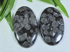Używany, 2Pcs 90Cts. Natural Black Fossil Coral Oval Cabochon Gemstone 23X38-23X41MM i922 na sprzedaż  Wysyłka do Poland